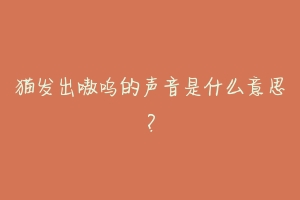 猫发出嗷呜的声音是什么意思?-动物百科