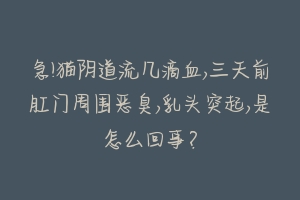 急!猫阴道流几滴血,三天前肛门周围恶臭,乳头突起,是怎么回事?-动物百科