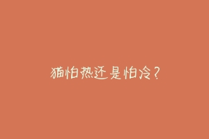 猫怕热还是怕冷？-动物百科