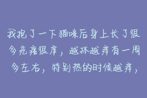 我抱了一下猫咪后身上长了很多疙瘩很庠，越抓越痒有一周多左右，特别热的时候越痒，请问要擦什么软膏和服？-动物百科