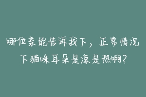 哪位亲能告诉我下,正常情况下猫咪耳朵是凉是热啊?-动物百科