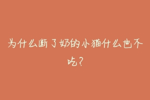 为什么断了奶的小猫什么也不吃？-动物百科