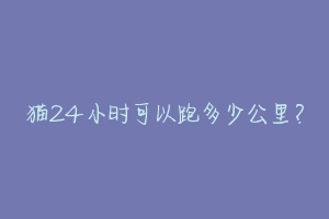 猫24小时可以跑多少公里?-动物百科