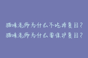 猫咪老师为什么不吃掉夏目?猫咪老师为什么要保护夏目?-动物百科