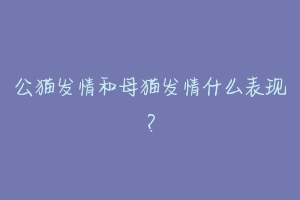 公猫发情和母猫发情什么表现?-动物百科