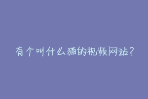 有个叫什么猫的视频网站?-动物百科