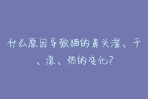 什么原因导致猫的鼻头湿、干、凉、热的变化?-动物百科