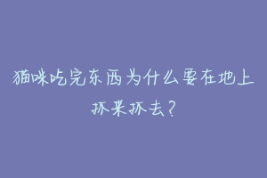 猫咪吃完东西为什么要在地上抓来抓去?-动物百科