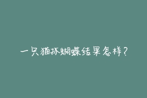 一只猫抓蝴蝶结果怎样?-动物百科