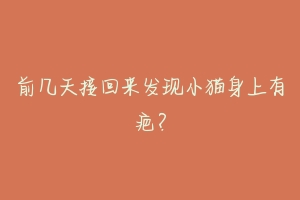 前几天接回来发现小猫身上有疤?-动物百科