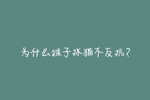 为什么猴子抓猫不反抗?-动物百科