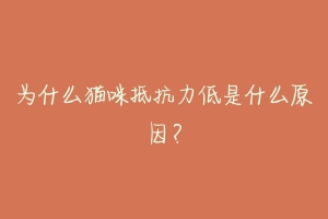 为什么猫咪抵抗力低是什么原因？-动物百科
