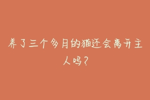 养了三个多月的猫还会离开主人吗？-动物百科