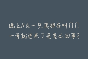 晚上11点一只黑猫在叫门门一开就进来了是怎么回事?-动物百科