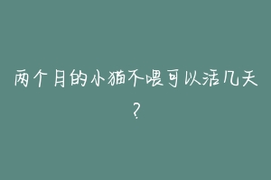 两个月的小猫不喂可以活几天?-动物百科