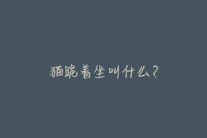 猫跪着坐叫什么?-动物百科