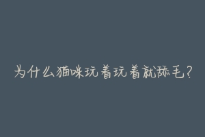 为什么猫咪玩着玩着就舔毛?-动物百科