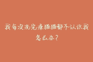 我每次洗完澡猫猫都不认识我怎么办?-动物百科