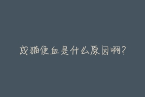 成猫便血是什么原因啊?-动物百科