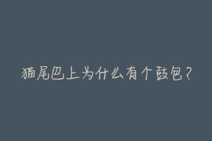 猫尾巴上为什么有个鼓包?-动物百科