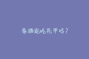 家猫能吃花甲吗?-动物百科