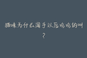 猫咪为什么闻手以后呜呜的叫?-动物百科
