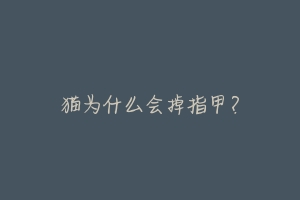 猫为什么会掉指甲?-动物百科