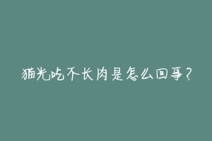 猫光吃不长肉是怎么回事?-动物百科