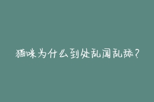 猫咪为什么到处乱闻乱舔？-动物百科