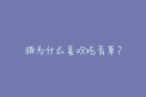 猫为什么喜欢吃青草？-动物百科
