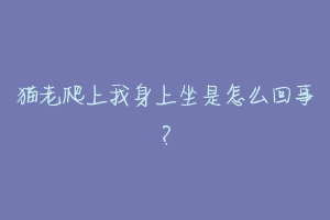猫老爬上我身上坐是怎么回事?-动物百科