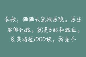 求救，猫猫去宠物医院。医生要做化验。就是B超和验血。总共将近1000块，我是不是被坑了？-动物百科