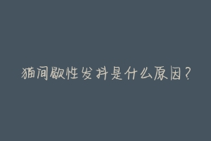 猫间歇性发抖是什么原因？-动物百科