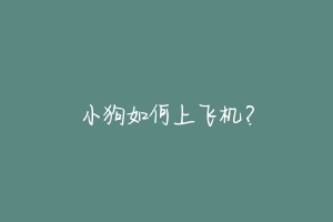 小狗如何上飞机？-动物百科