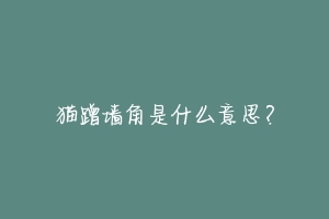 猫蹭墙角是什么意思？-动物百科
