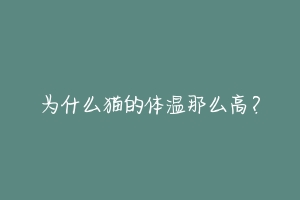 为什么猫的体温那么高？-动物百科