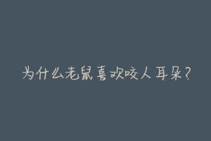 为什么老鼠喜欢咬人耳朵?-动物百科