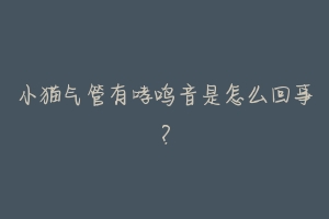 小猫气管有哮鸣音是怎么回事?-动物百科