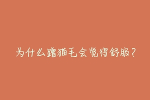 为什么蹭猫毛会觉得舒服?-动物百科