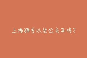 上海猫可以坐公交车吗?-动物百科