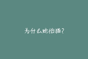 为什么蛇怕猫?-动物百科