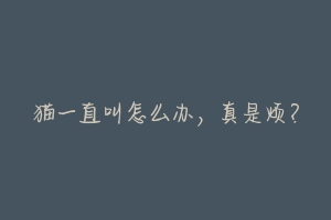 猫一直叫怎么办,真是烦?-动物百科