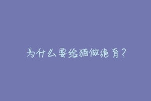 为什么要给猫做绝育?-动物百科