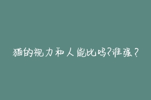猫的视力和人能比吗?谁强?-动物百科