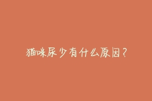 猫咪尿少有什么原因?-动物百科