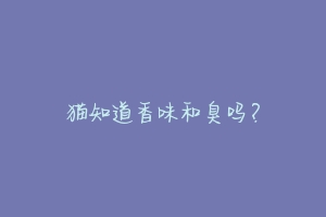 猫知道香味和臭吗?-动物百科