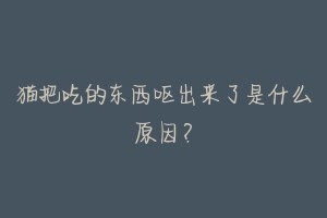 猫把吃的东西呕出来了是什么原因?-动物百科