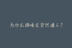 为什么猫咪会突然撞人?-动物百科