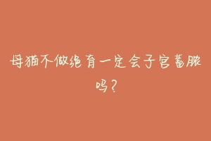 母猫不做绝育一定会子宫蓄脓吗?-动物百科