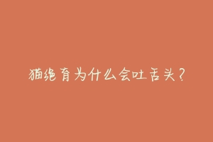 猫绝育为什么会吐舌头?-动物百科